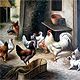 Chicken Farm - Unknown